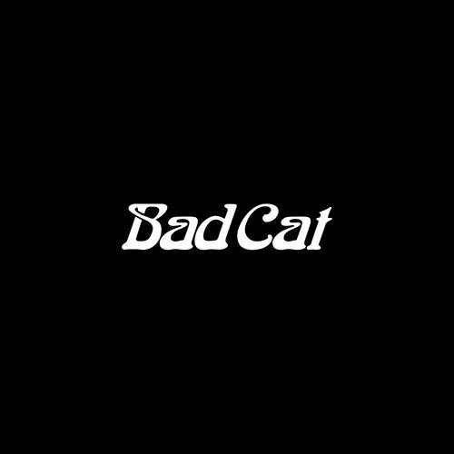 Bad Cat Black Cat 40 Reverb Philips EF86 Harma Vintage Groove Tube EL34M Upgrade Kit Bad Cat Black Cat 40 Reverb Philips EF86 Harma Vintage Groove Tube EL34M Upgrade Kit